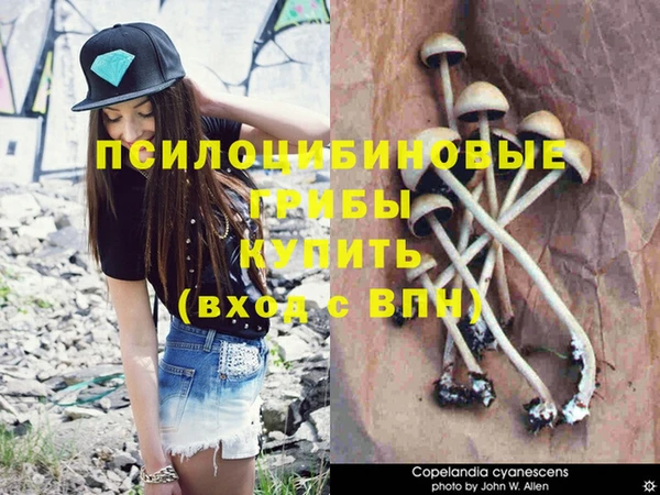 a pvp Михайловск