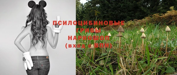 бошки Михайловка