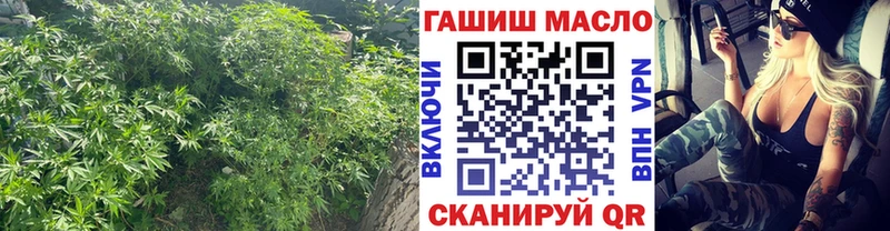 mega рабочий сайт  Павловский Посад  shop телеграм  ТГК жижа 