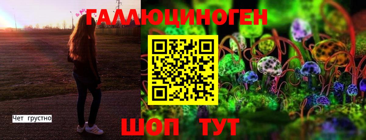 Псилоцибиновые грибы MAGIC MUSHROOMS  Вход с VPN  Павловский Посад  Галлюциногенные грибы ЛСД 