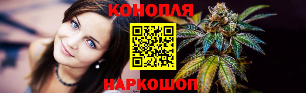 Каннабис гибрид Павловский Посад